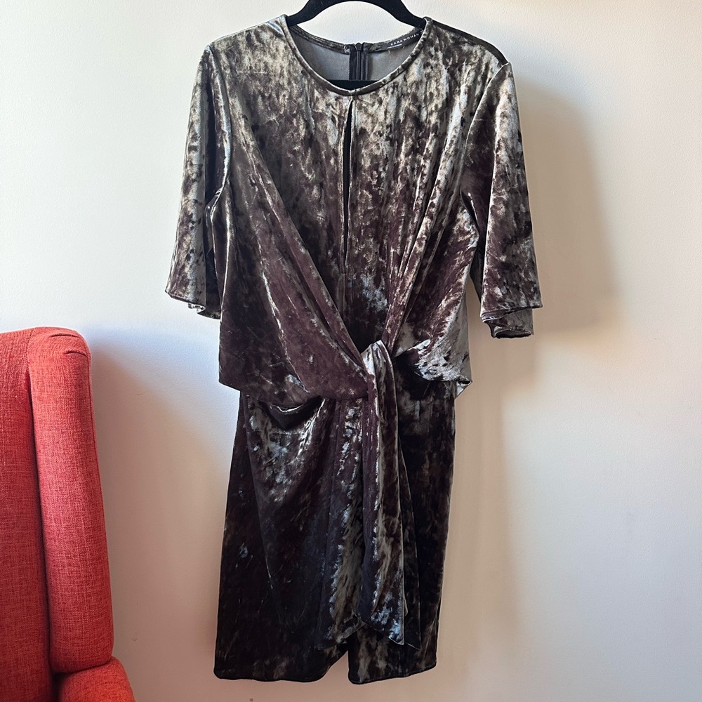 Zara Woman Velvet Quarter Sleeve Dress in Silver-Green Crushed Velour